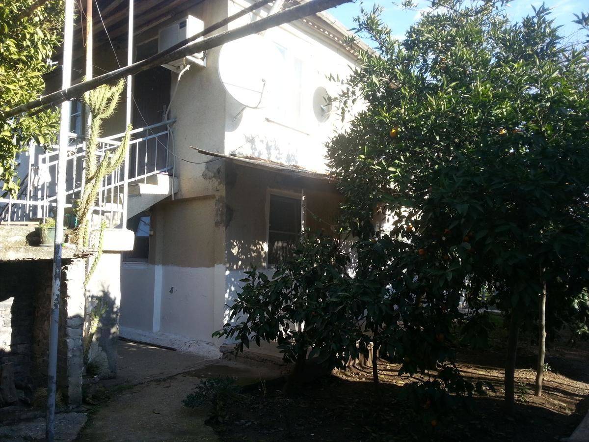 Фотографии номера Двухместный номер с 2 отдельными кроватями, вид на сад в Гостевом доме Гостевой дом Южная Пальмира Пицунда